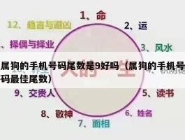 狗是什么号码|属狗手机号码尾数怎么选有财运